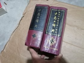 中药大辞典（上下）