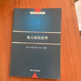 公共治理创新丛书：地方政府治理