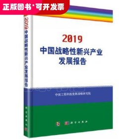 2019中国战略性新兴产业发展报告