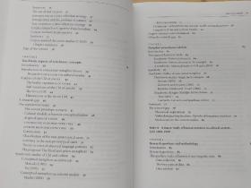 英文书 Metaphor across Time and Conceptual Space: The interplay of embodiment and cultural models (Cognitive Linguistic Studies in Cultural Contexts 3)   James J. Mischler III  (Author)