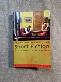 The Norton Anthology of Short Fiction, Shorter 6th Edition 诺顿短篇小说选集【英文版，一千多页厚】打包后一公斤重 Stories Reader