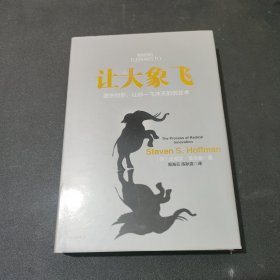 让大象飞:激进创新，让你一飞冲天的创业术