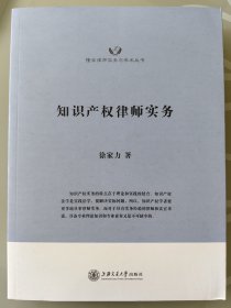 隆安律师实务与学术丛书：知识产权律师实务