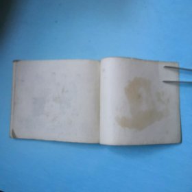 特别观众