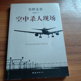 空中杀人现场