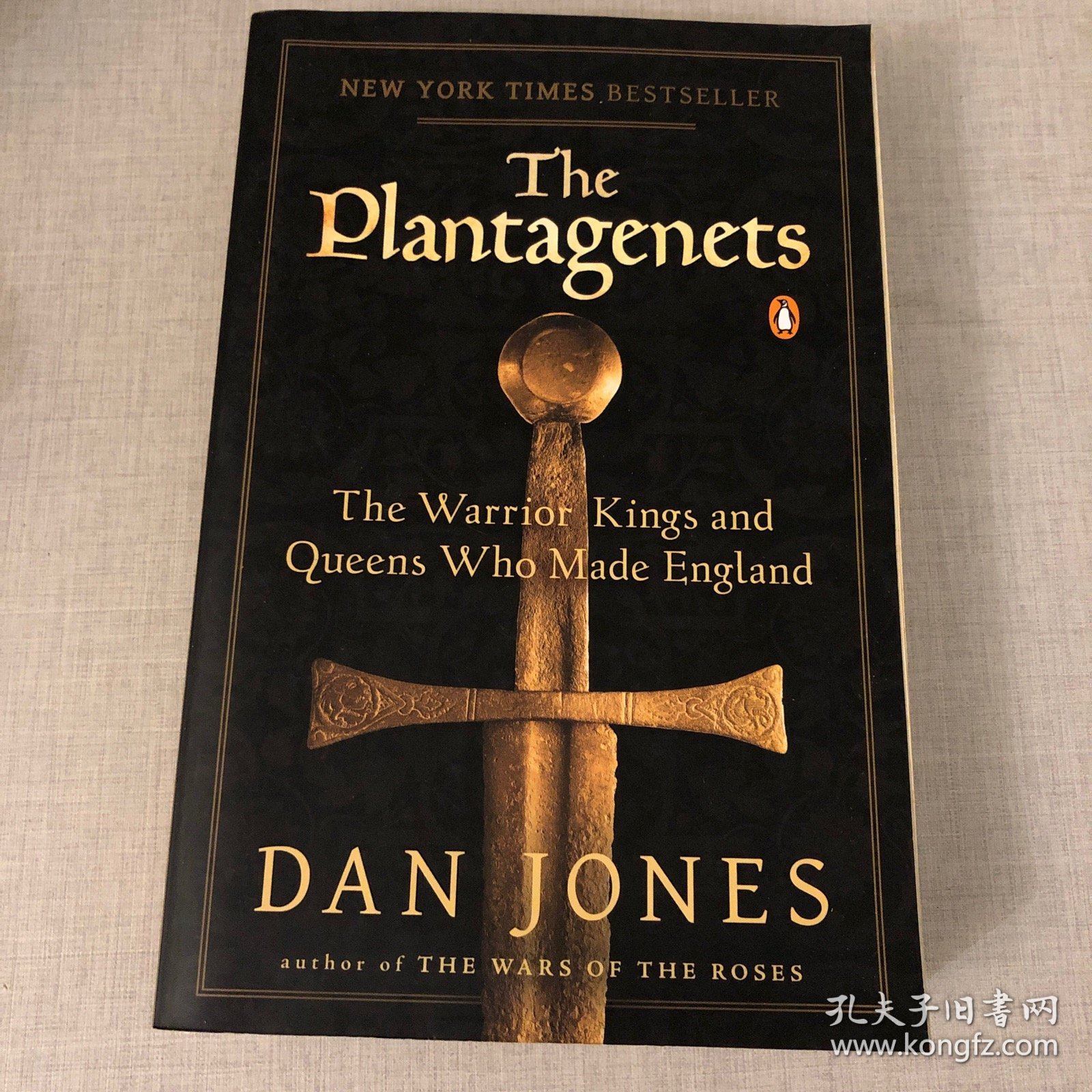 The Plantagenets：The Warrior Kings and Queens Who Made England 金雀花王朝 英文原版 丹·琼斯