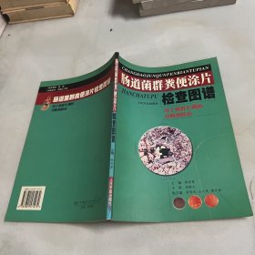 肠道菌群粪便涂片检查图谱