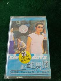 心跳男孩《水姑娘》磁带,滚石供版,上海声像出版