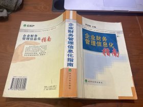 企业财务管理信息化指南