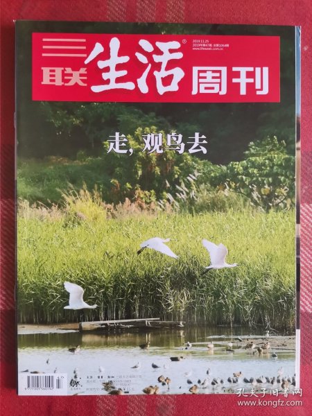 三联生活周刊 2019年11月25日 走，观鸟去