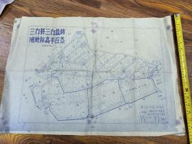 70年代三门县盐场滩地标高平面图。