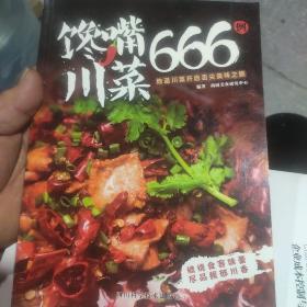 馋嘴川菜666例