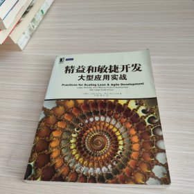 精益和敏捷开发大型应用实战