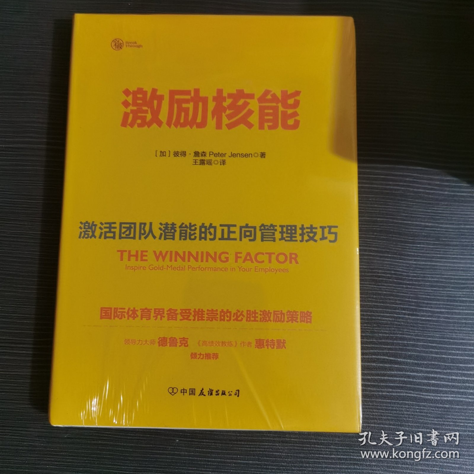 激励核能：激活团队潜能的正向管理技巧