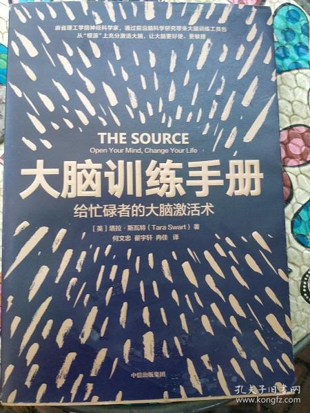 大脑训练手册：给忙碌者的大脑激活术