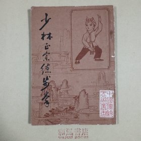 《少林正宗练步拳》