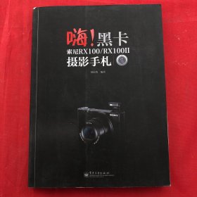 嗨！黑卡：索尼RX100/RX100II摄影手札