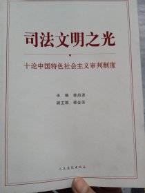 司法文明之光（十论中国特色社会主义审判制度）