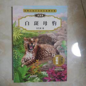 动物小说大王沈石溪精品集：白斑母豹（拼音版）