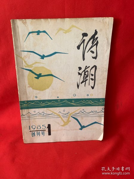 诗潮 创刊号1985
