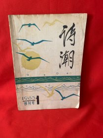 诗潮 创刊号1985