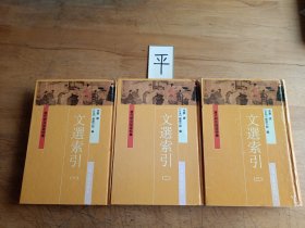 文选索引：唐代研究指南特集（全三册）