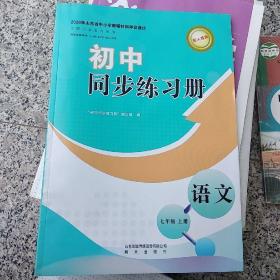 初中同步练习册七年级上册语文