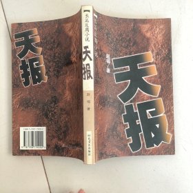 长篇反腐小说：天惩