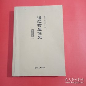 湛江村庄简史(草稿本)麻章区卷二