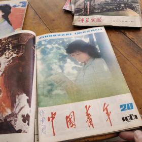 中国青年1981年13.14.15.16.20.21.22.23-24合刊（8本9期，私人合订本第23期总目录被撕掉四页