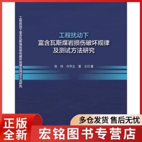 工程擾動下富含瓦斯煤巖損傷破壞規(guī)律及測試方法研究