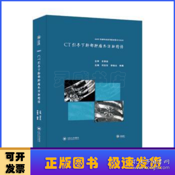 CT引导下肺部肿瘤热消融图谱(AME科研时间系列医学图书)