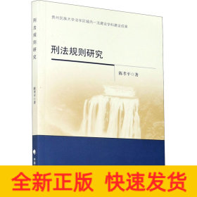刑法规则研究
