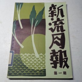 《新流月报》创刊号（第一期） 1959年 上海文艺出版社据原书影印 仅2500册