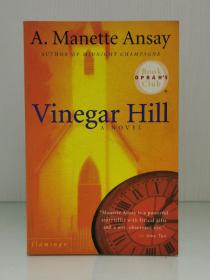 《维尼格山 》    Vinegar Hill by A. Manette Ansay（美国文学）英文原版书