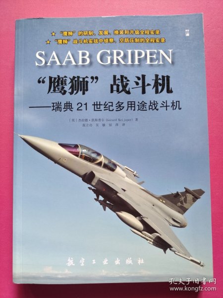 “鹰狮”战斗机：瑞典21世纪多用途战斗机