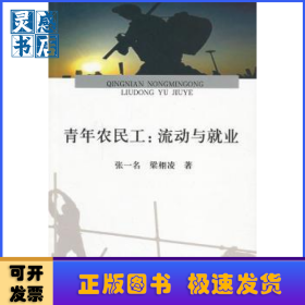 青年農(nóng)民工:流動(dòng)與就業(yè)