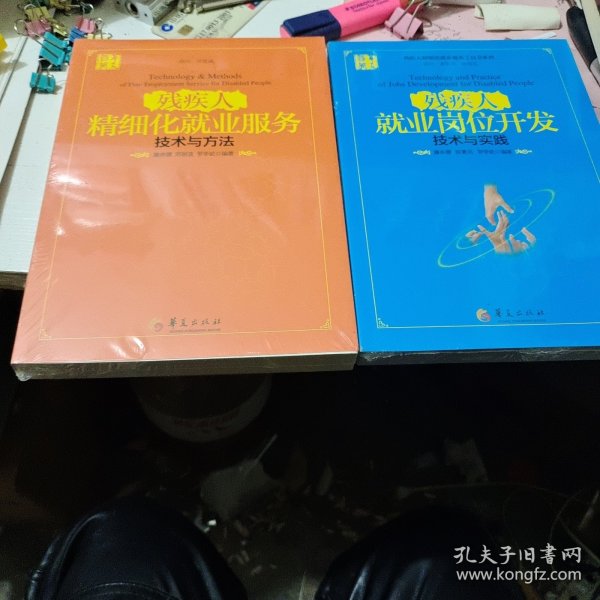 残疾人精细化就业服务技术与方法，残疾人就业岗位开发技术与实践（2册合售）