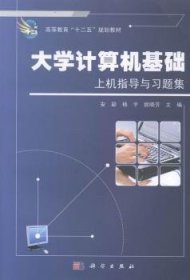 大学计算机基础上机指导与习题集9787030375056