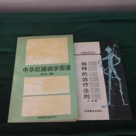 中华肛肠病学图谱+独特的治疗法则
两本合售