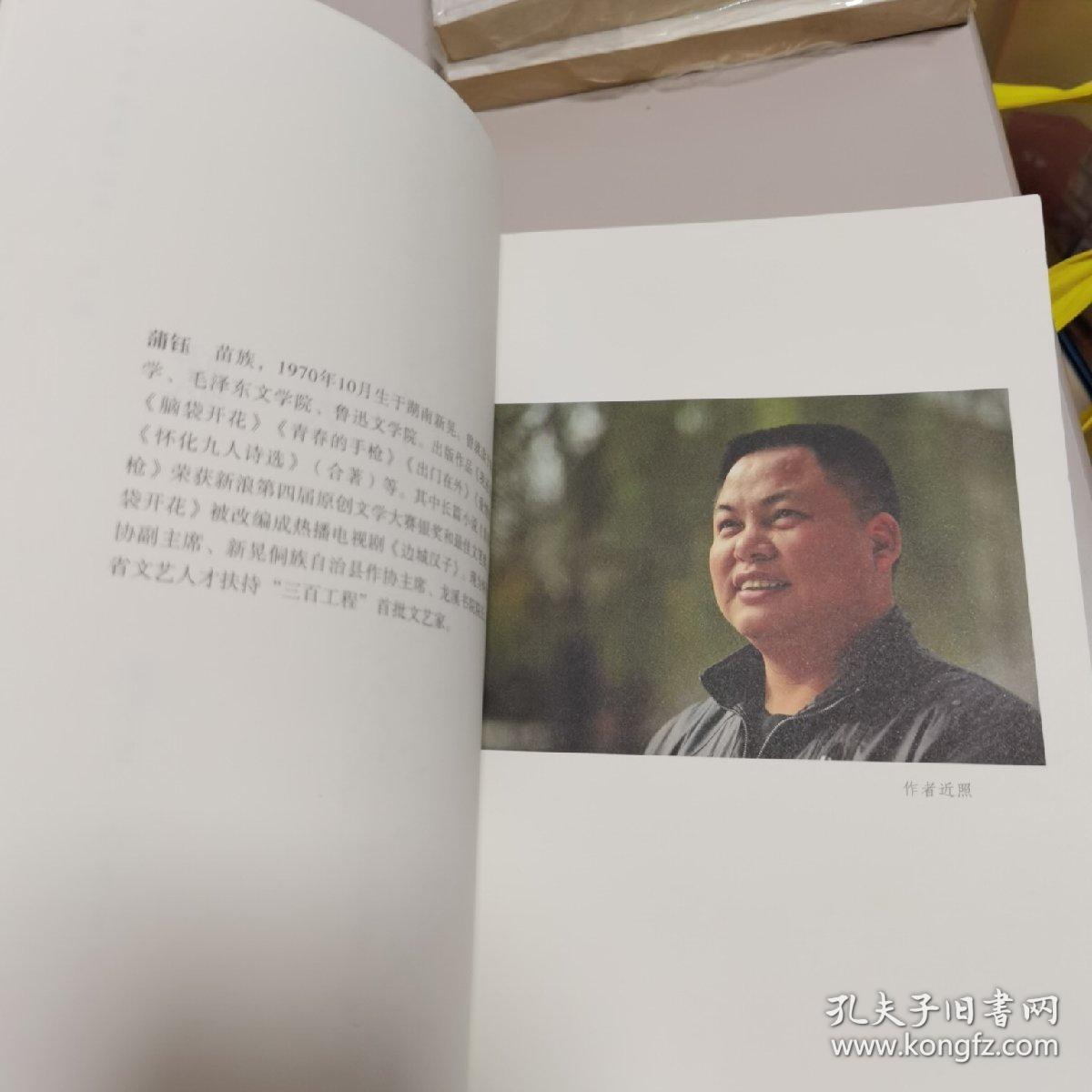 中国多民族文学丛书：天歌
