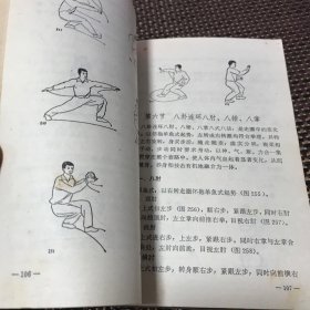 游身八卦连环掌