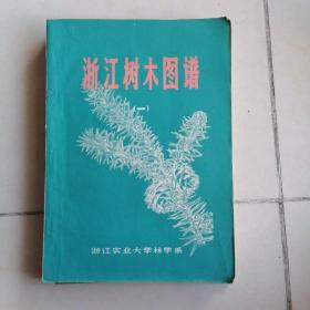 浙江树木图谱＜一＞