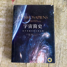 宇宙简史：从宇宙诞生到人类文明