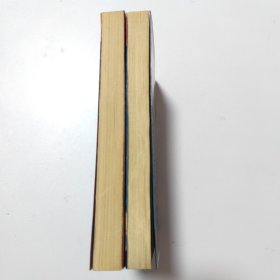 莫斯科落日（上，下）2本