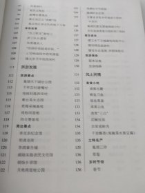唐嘴村志