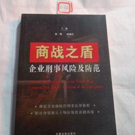 商战之盾：企业刑事风险及防范