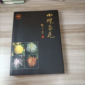 小榄菊花