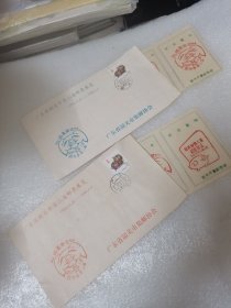 第一轮生肖猪