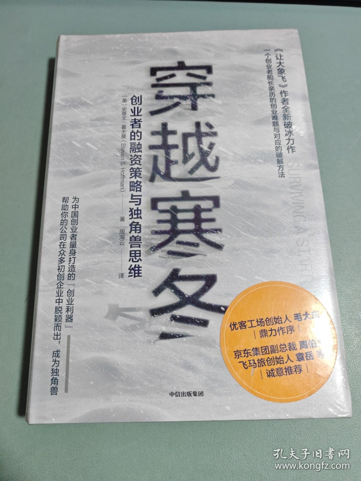 穿越寒冬:《让大象飞》作者的全新破冰力作